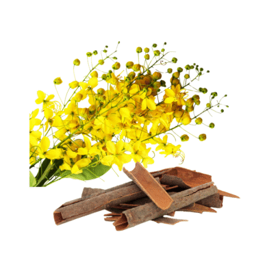 Cassia Essential Oil
