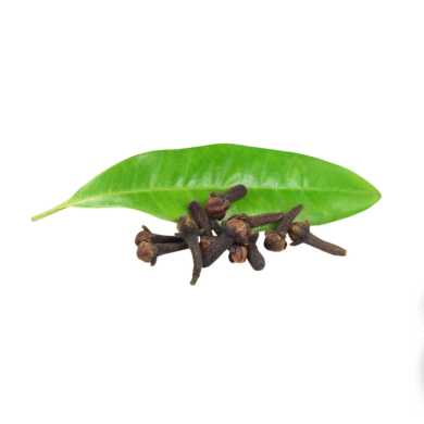 Clove Leaf Essential Oil
