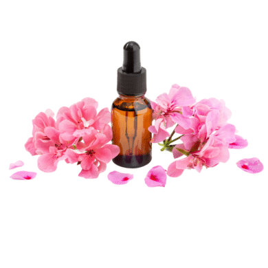 Geranium Essential Oil