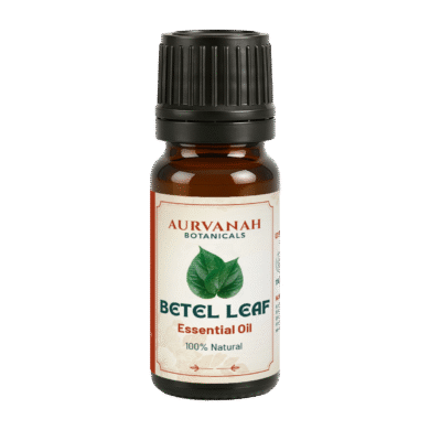 betel leaf essential oil