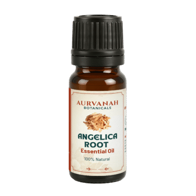 Angelica root oil