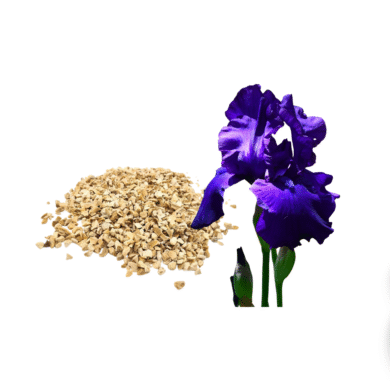 Orris Root Absolute Oil