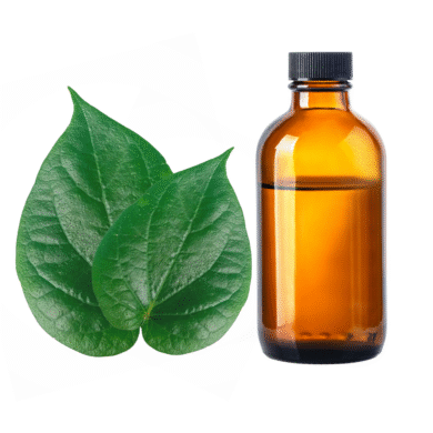 Betel Leaf Essential Oil