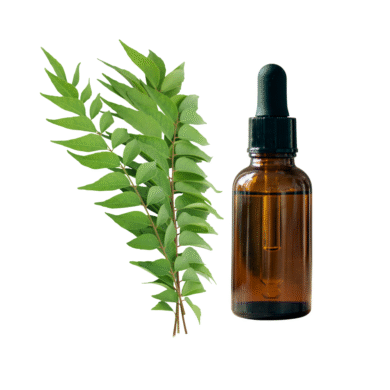 Curry Leaf Essential Oil