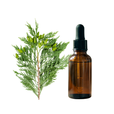Cypress Essential Oil
