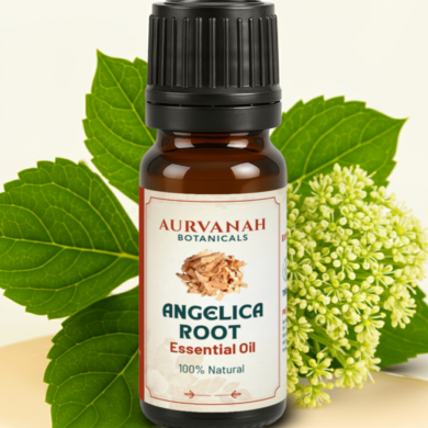 angelica root oil