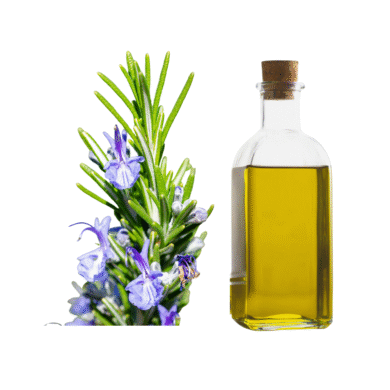 rosemarry-Essential-Oil.png