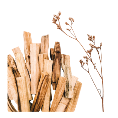 palo santo essential oil